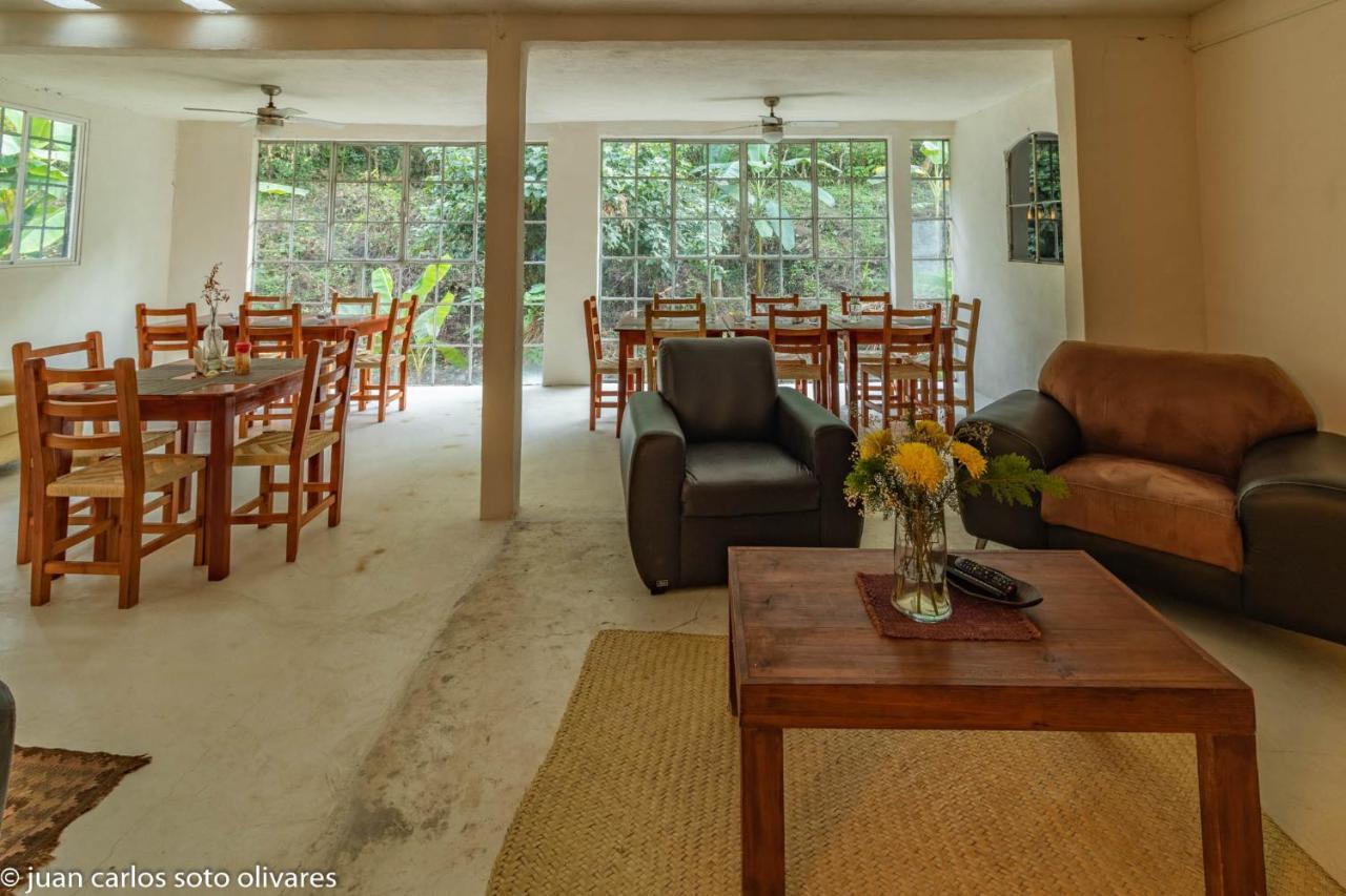 Hotel Casa Edward Xilitla Extérieur photo
