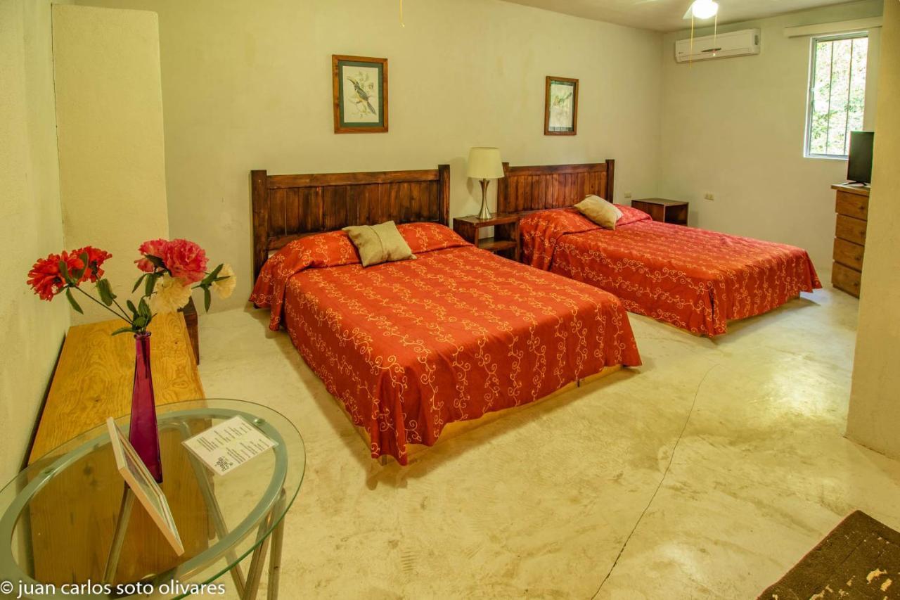 Hotel Casa Edward Xilitla Extérieur photo
